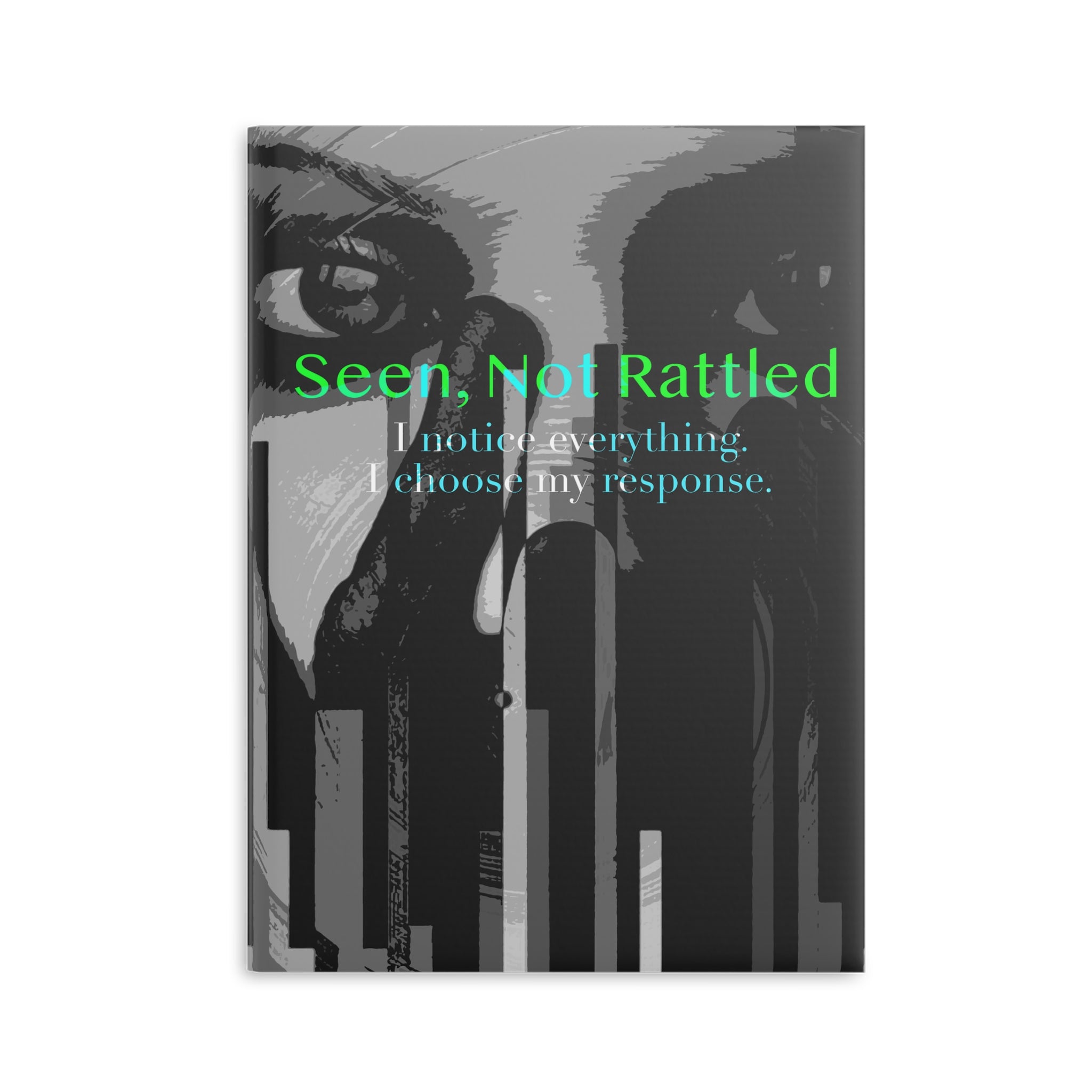 Seen, Not Rattled - Journal