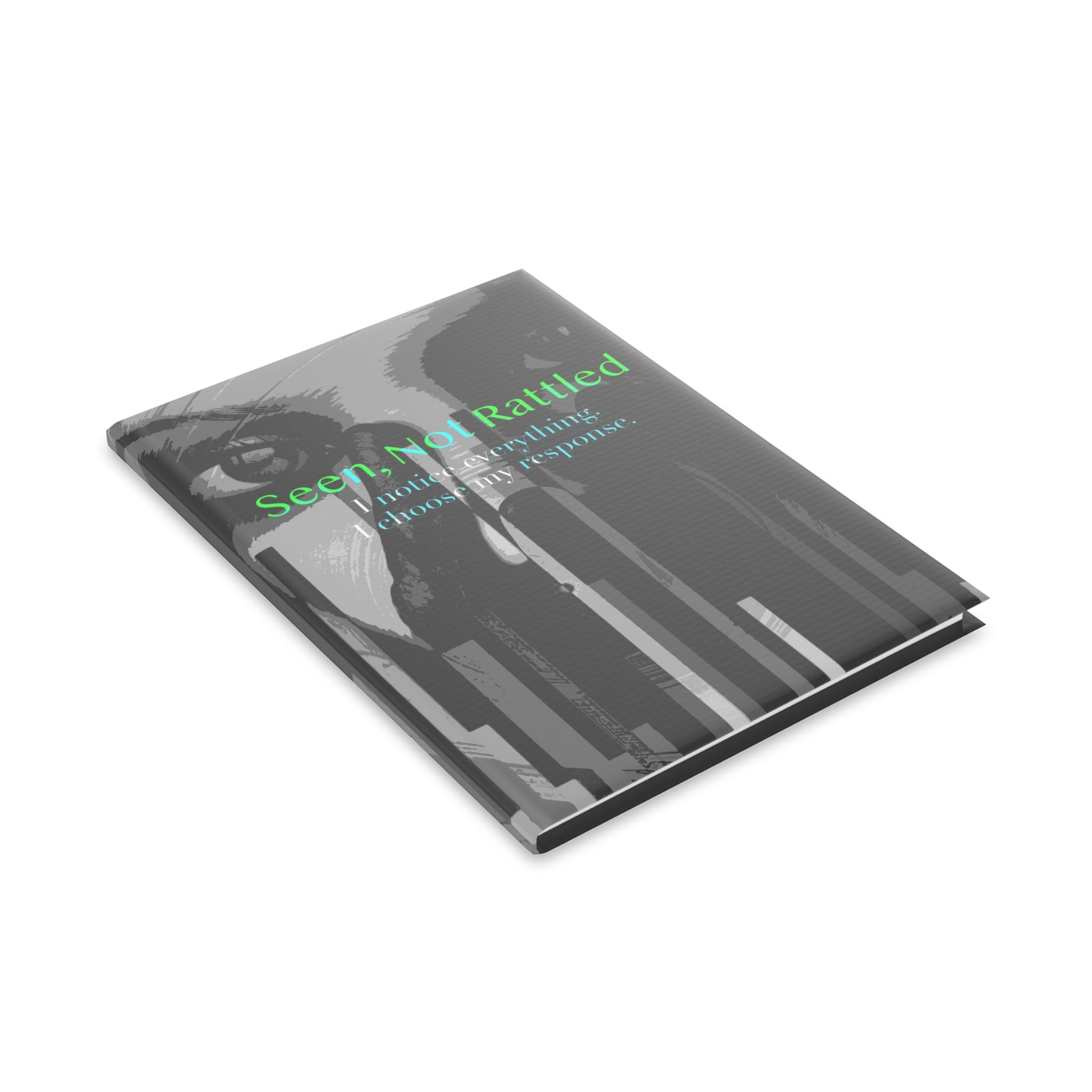 Seen, Not Rattled - Journal