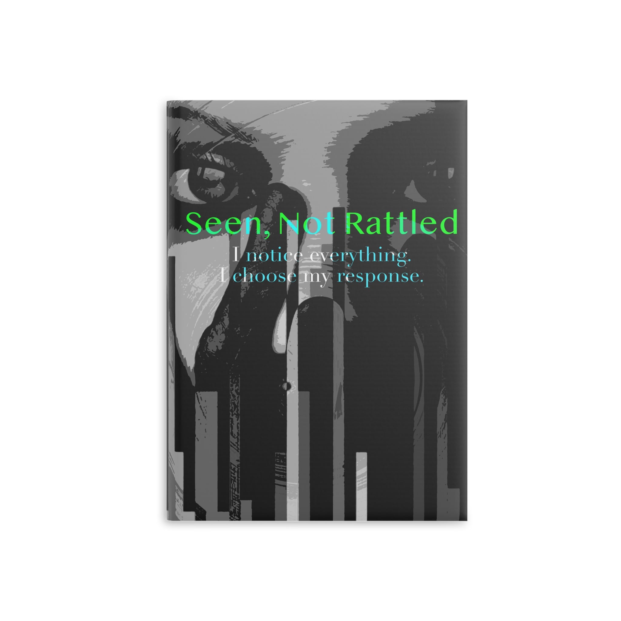 Seen, Not Rattled - Journal