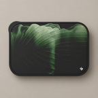 Muted Jungle | Taste Case