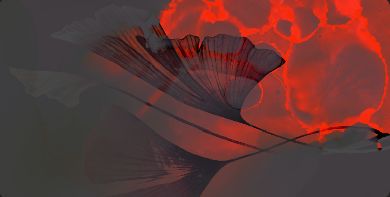 Heat Signature - Beach Towel