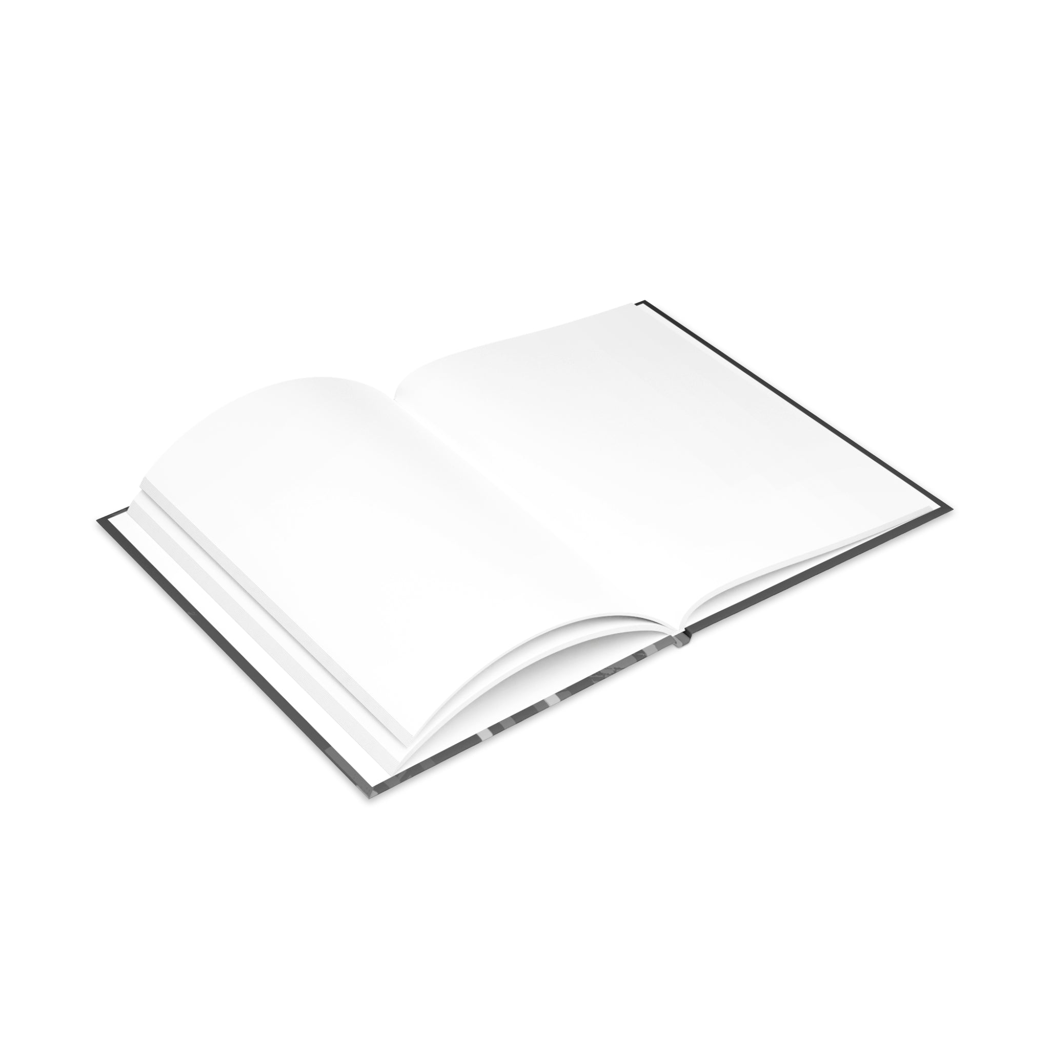 Seen, Not Rattled - Journal