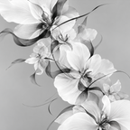 Petals in Confidence | Duvet Cover