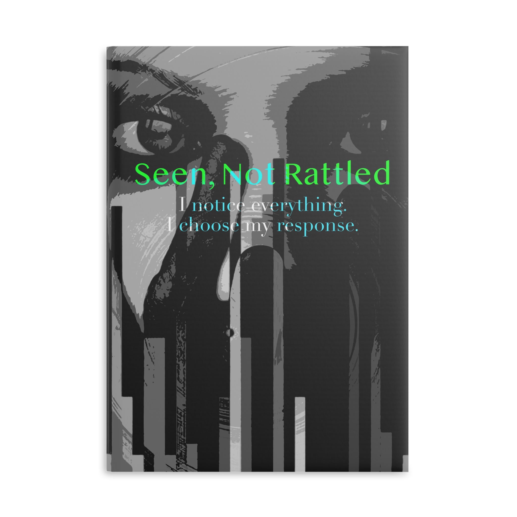 Seen, Not Rattled - Journal