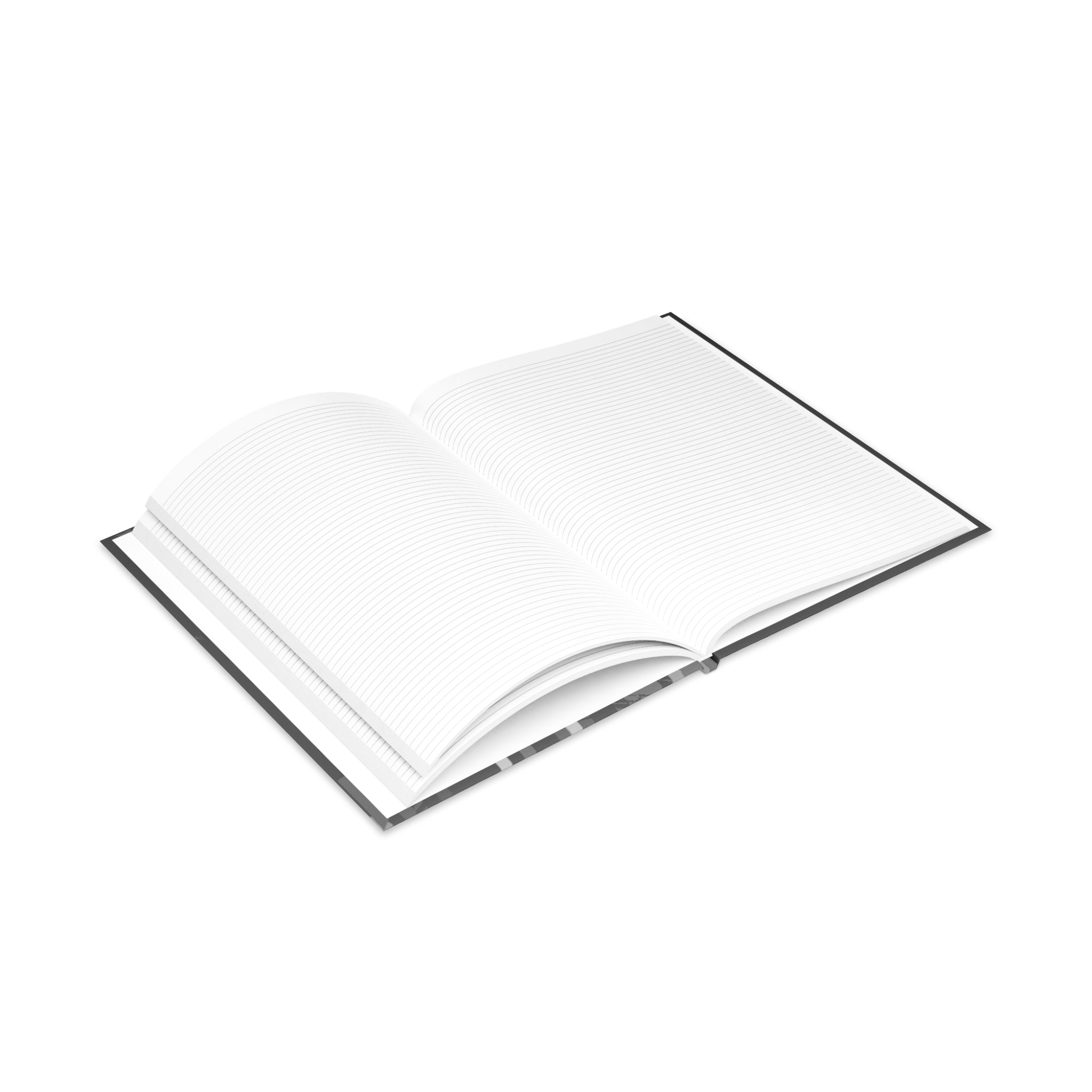 Seen, Not Rattled - Journal