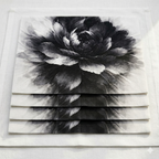 Velour Obscura - Placemat Set (4)