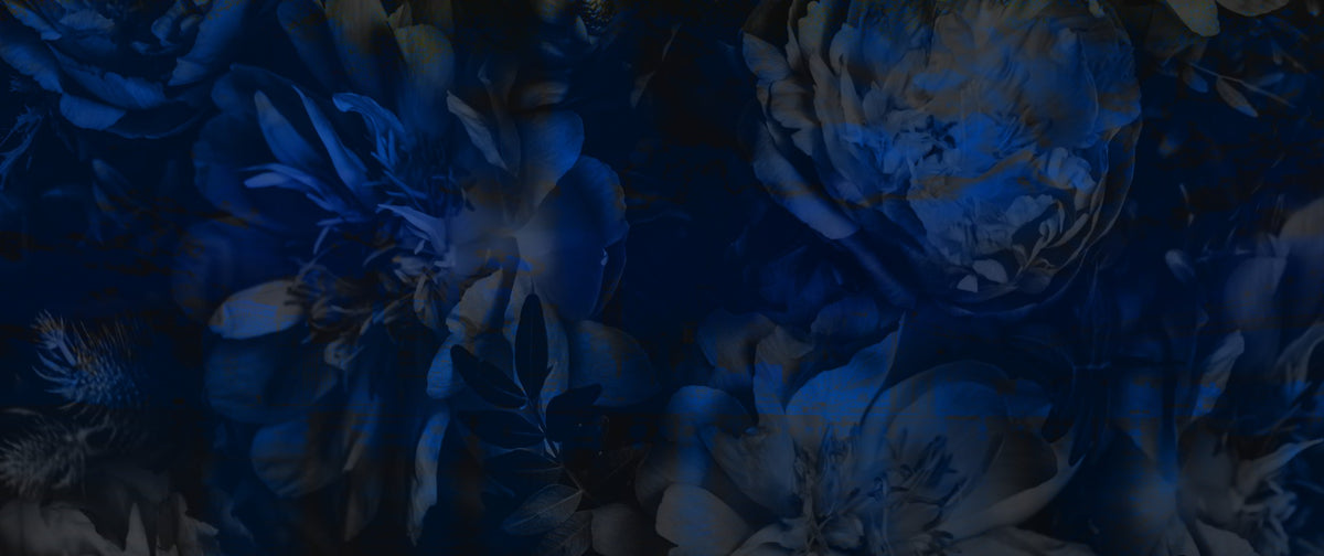 Original artwork: Nocturne Bloom
